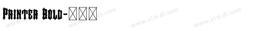 Printer Bold字体转换